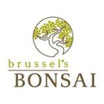Brussel's Bonsai Coupon Codes